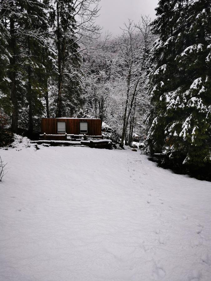 Skalca Villa Kamniska Bistrica Exterior photo